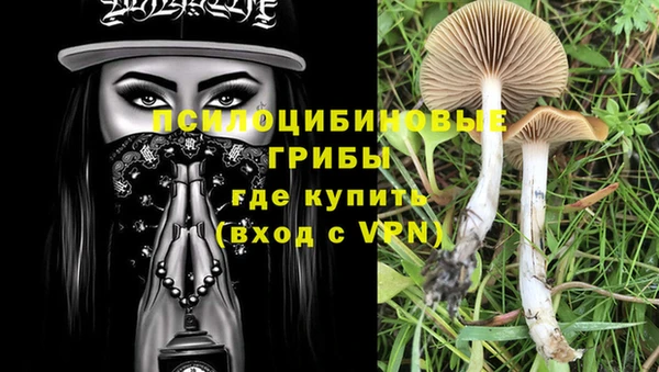 мдма Богородицк