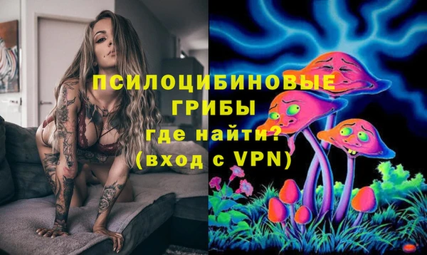прущие крисы Богородск
