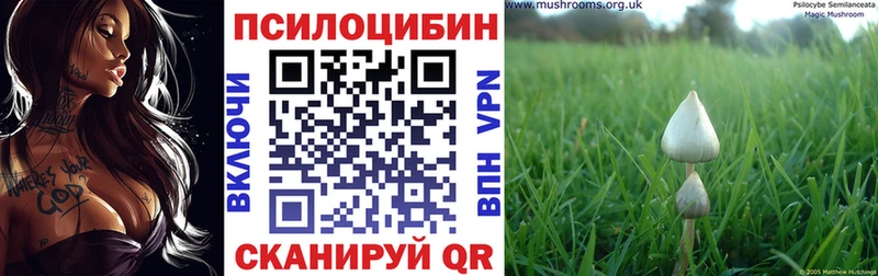 Купить  Глазов  Галлюциногенные грибы прущие грибы 